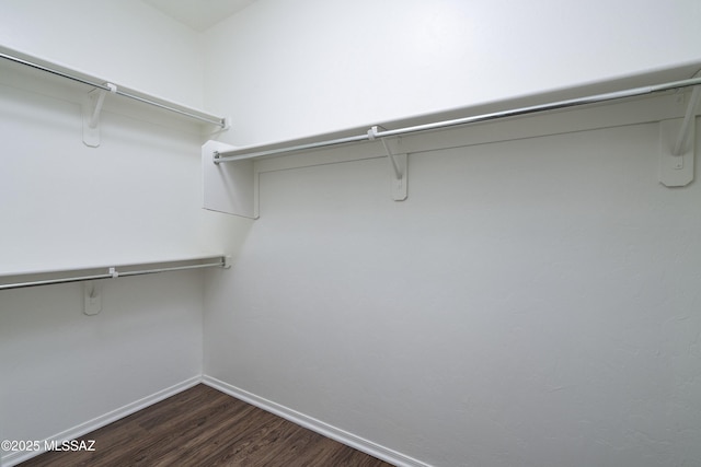 493 E Placita Nodo, Sahuarita, AZ 85629 - walk in closet with dark wood-style flooring