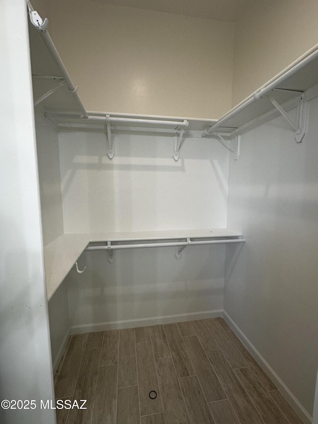 walk in closet featuring dark wood-style floors