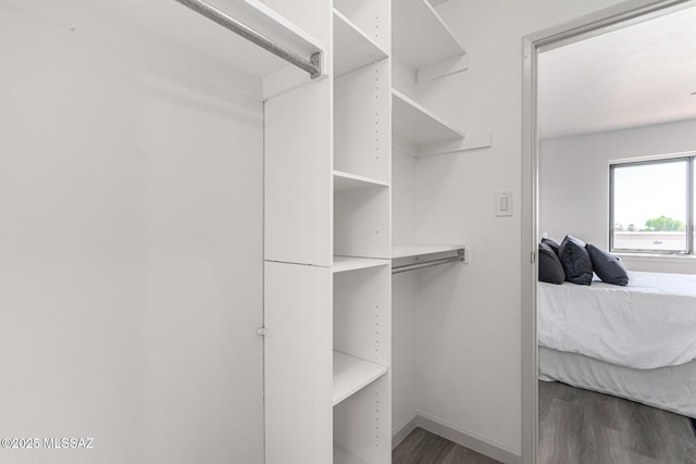 walk in closet featuring wood finished floors