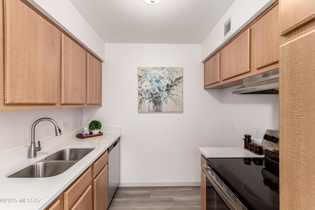 kitchen featuring a sink, appliances with stainless steel finishes, under cabinet range hood, and light countertops