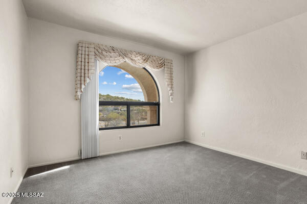 4361 N Wilmot Rd, Tucson, AZ 85750 - carpeted empty room with baseboards