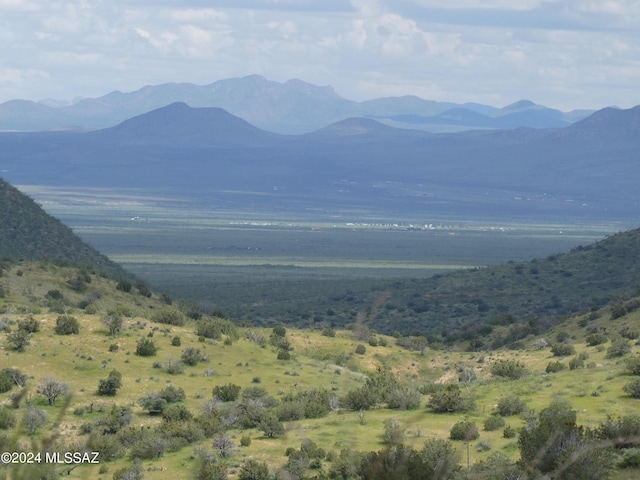 70AC S Turkey Creek Rd Unit 1, San Simon, AZ 85632