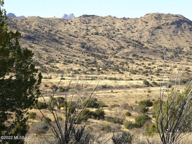 70AC S Turkey Creek Rd Unit 1, San Simon, AZ 85632