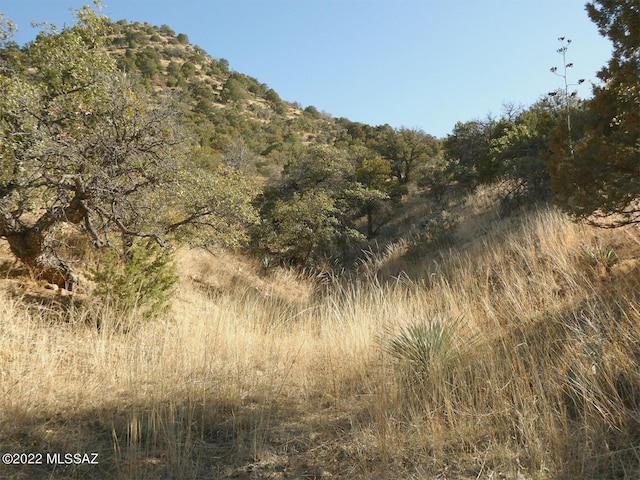 70AC S Turkey Creek Rd Unit 1, San Simon, AZ 85632