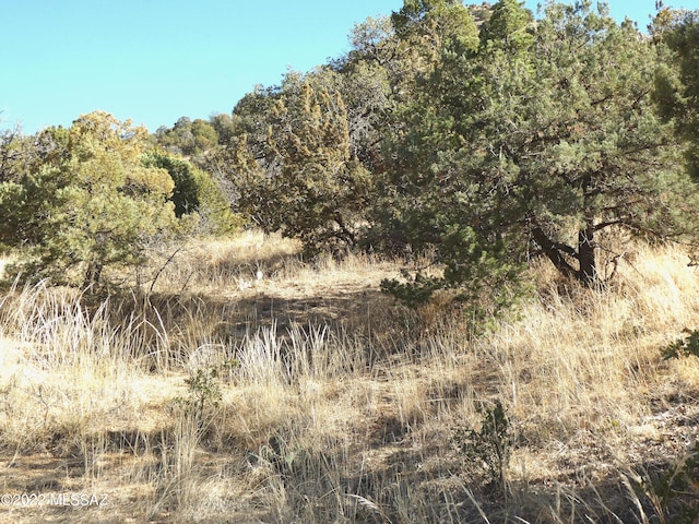 70AC S Turkey Creek Rd Unit 1, San Simon, AZ 85632