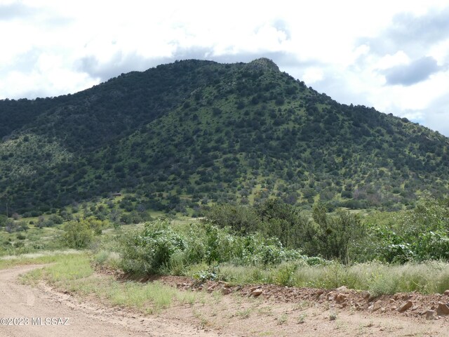 70AC S Turkey Creek Rd Unit 1, San Simon, AZ 85632