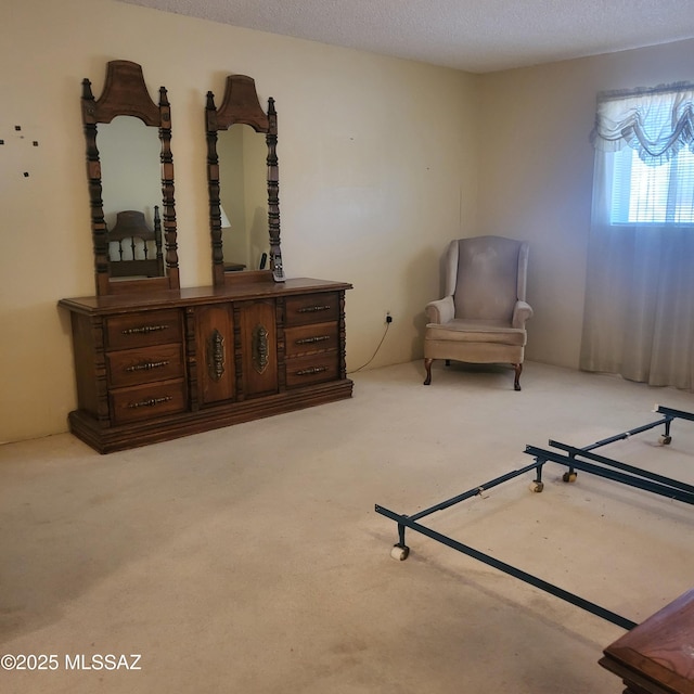 sitting room with carpet floors and a textured ceiling