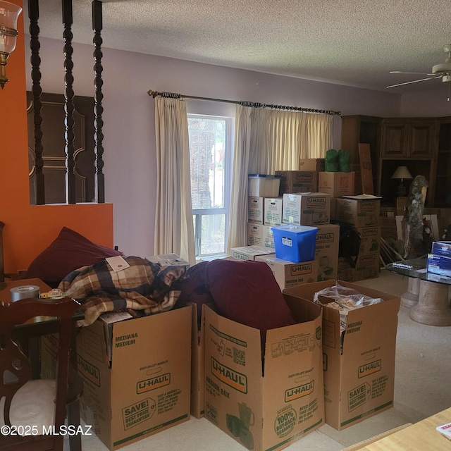 storage with ceiling fan