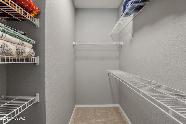 1500 E Pusch Wilderness Dr Unit 10105, Oro Valley, AZ 85737 - walk in closet featuring carpet floors