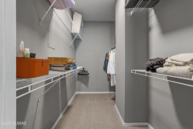 1500 E Pusch Wilderness Dr Unit 10105, Oro Valley, AZ 85737 - spacious closet featuring light carpet