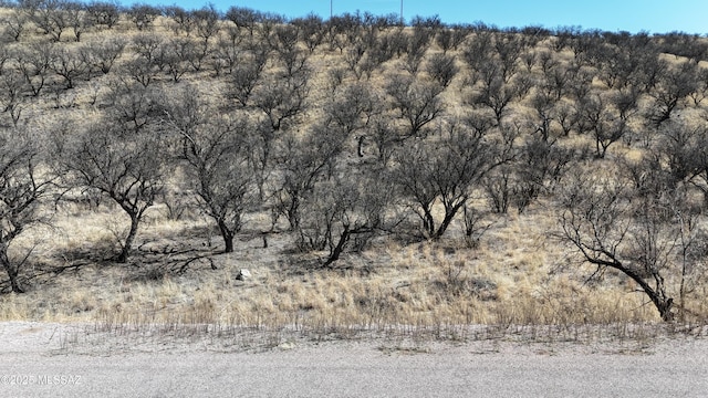 567 Mulberry Ct Unit 77, Rio Rico, AZ 85648