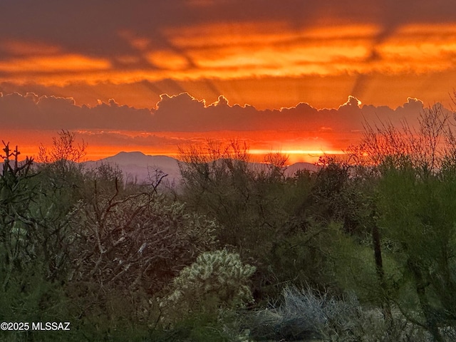 13795 N Buckhorn Cholla Dr, Marana, AZ 85658 - mountain view