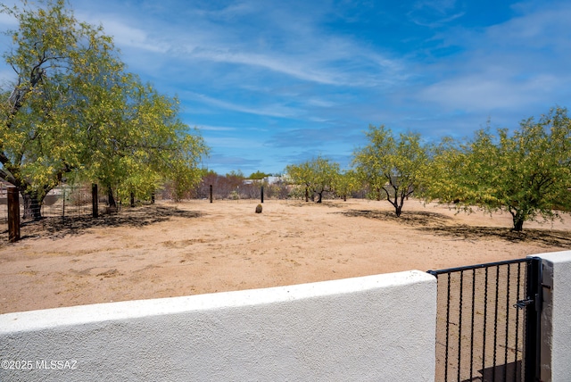 view of yard with a rural view