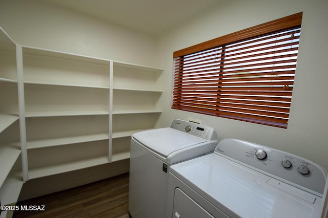 laundry area with laundry area, dark wood finished floors, and washer and clothes dryer