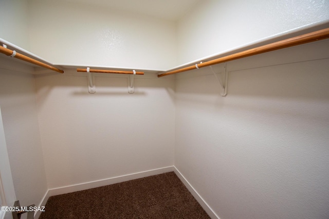 spacious closet with dark colored carpet