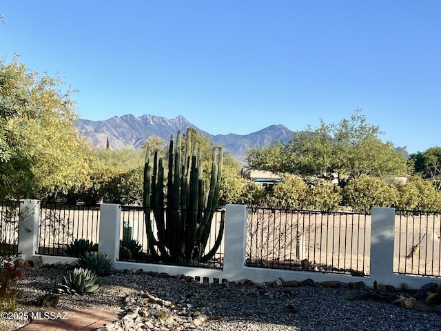 1011 N Placita Yoas, Green Valley, AZ 85614 - gate featuring a mountain view