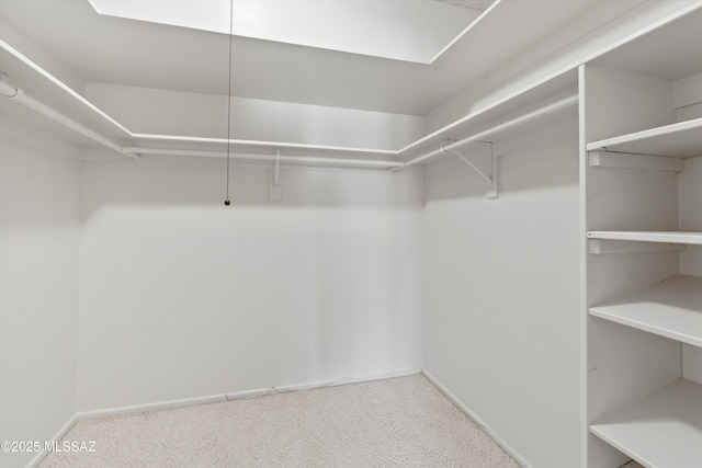 1011 N Placita Yoas, Green Valley, AZ 85614 - walk in closet with carpet flooring