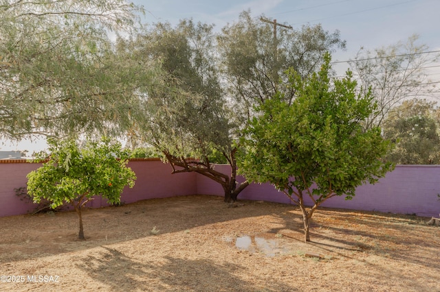 5417 E 3rd St, Tucson, AZ 85711 - view of yard with fence
