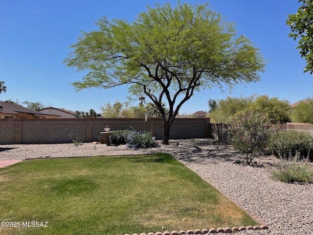 view of yard with a fenced backyard