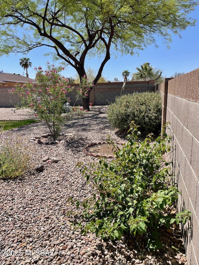 view of yard with a fenced backyard