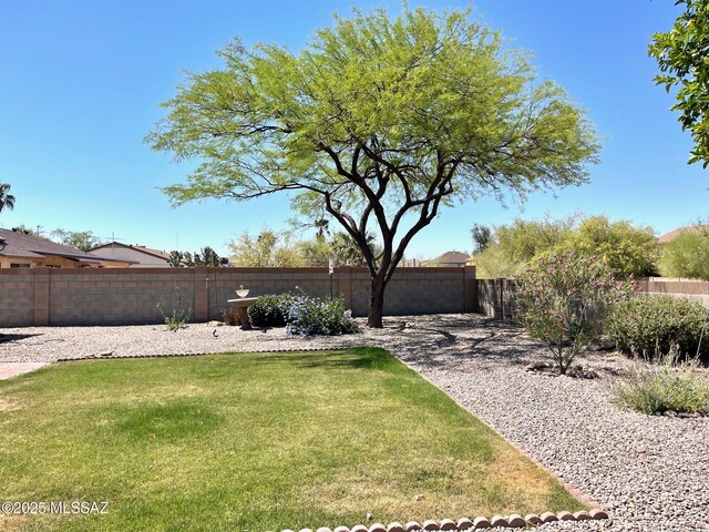 view of yard featuring a fenced backyard