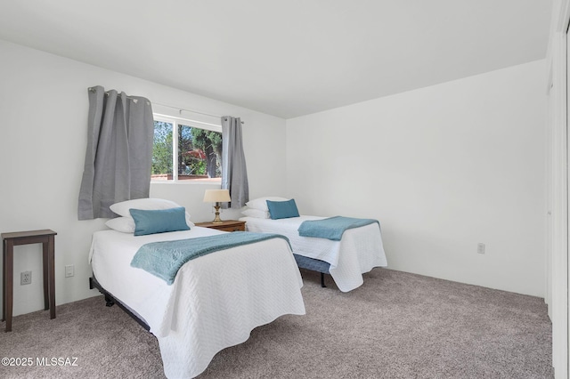 bedroom with carpet floors