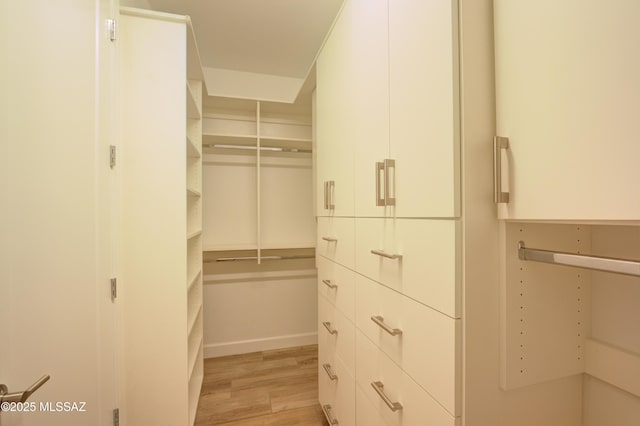 62908 E Thunder Rock Dr, Tucson, AZ 85739 - spacious closet with light wood-style floors