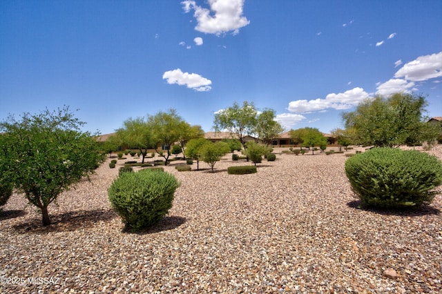 62908 E Thunder Rock Dr, Tucson, AZ 85739 - view of yard