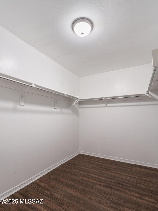 walk in closet with dark wood-style flooring