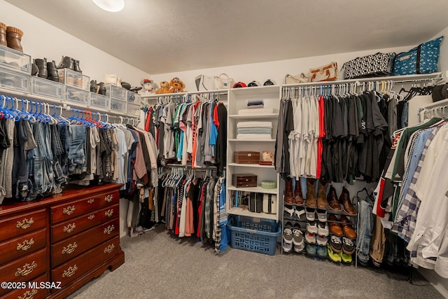 spacious closet with carpet flooring