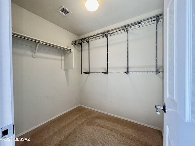 spacious closet featuring visible vents and carpet