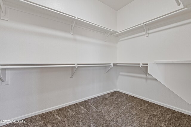 9896 E Wind Dancer Dr, Tucson, AZ 85748 - spacious closet with dark colored carpet
