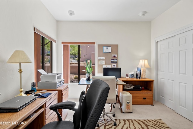 office area featuring light carpet