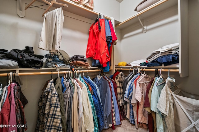 spacious closet featuring carpet flooring