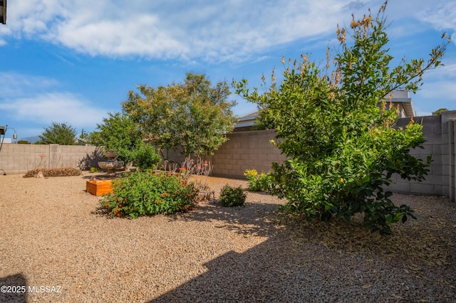 view of yard featuring a fenced backyard