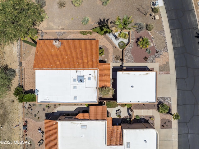 bird's eye view
