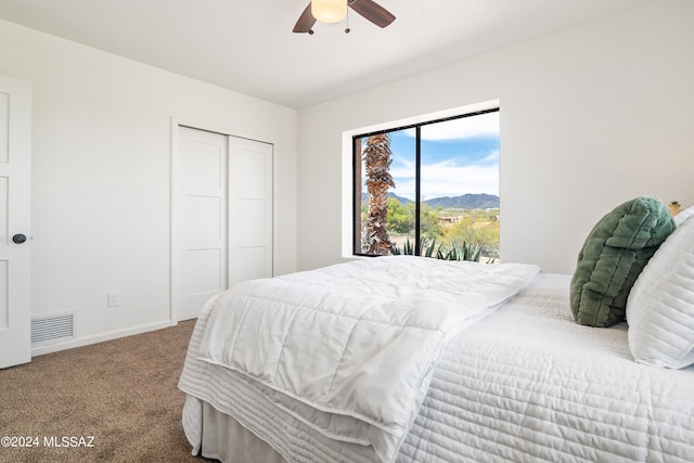 bedroom with access to exterior, carpet, baseboards, a mountain view, and a closet