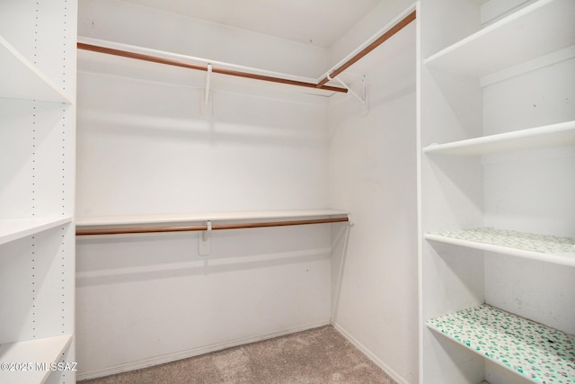 spacious closet with carpet