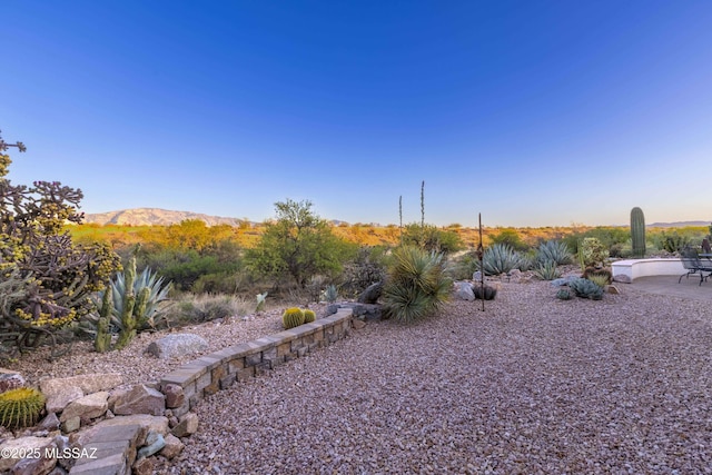 60333 E Ankole Dr, Oracle, AZ 85623 - view of yard featuring a patio and a mountain view