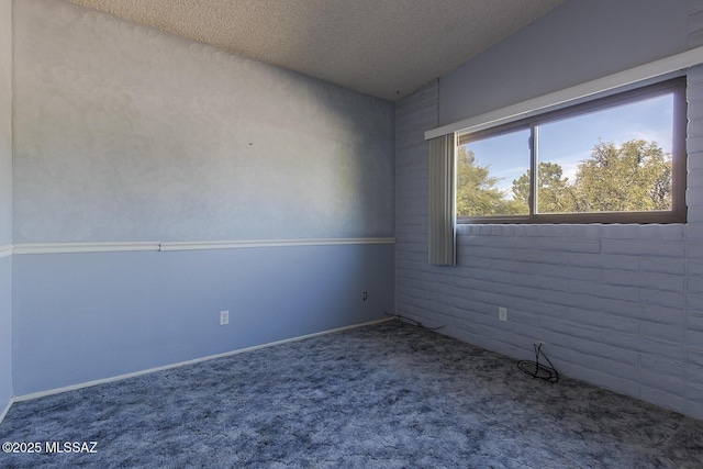 carpeted spare room with baseboards and a textured ceiling