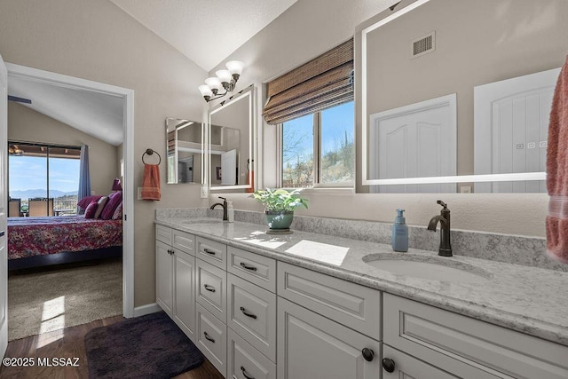 14171 N Gibson Trl, Tucson, AZ 85755 - ensuite bathroom featuring vaulted ceiling, wood finished floors, plenty of natural light, and double vanity