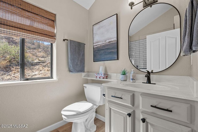 14171 N Gibson Trl, Tucson, AZ 85755 - bathroom featuring wood finished floors, toilet, baseboards, and vanity