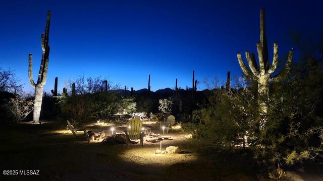 3825 N Silver Dr, Tucson, AZ 85749 - view of nature