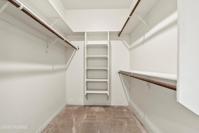 walk in closet featuring carpet floors