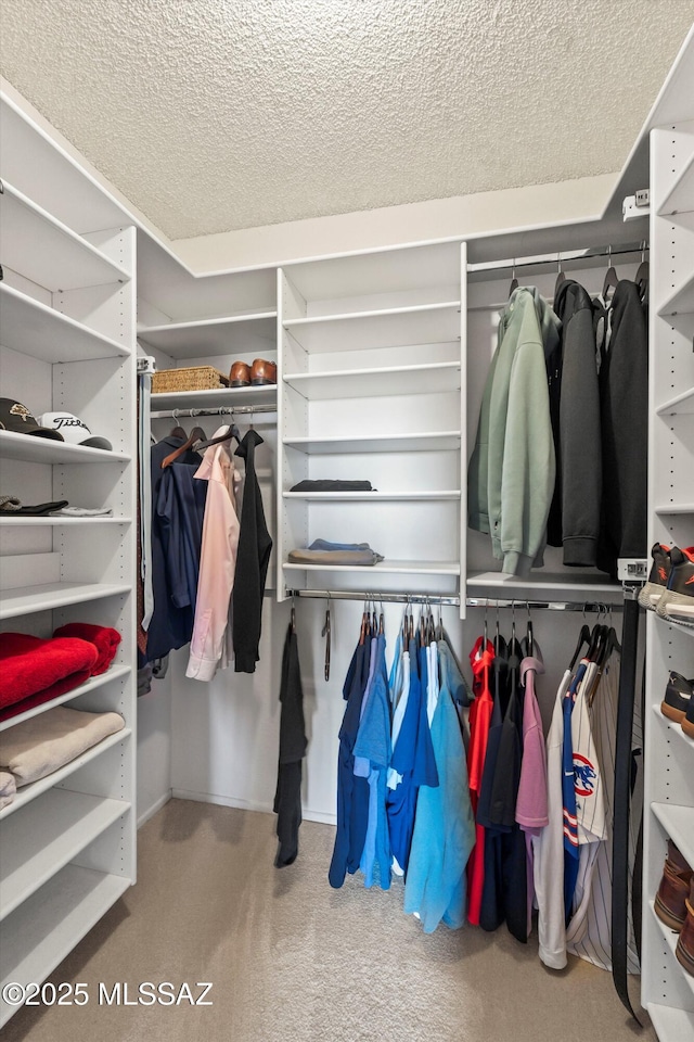walk in closet featuring carpet