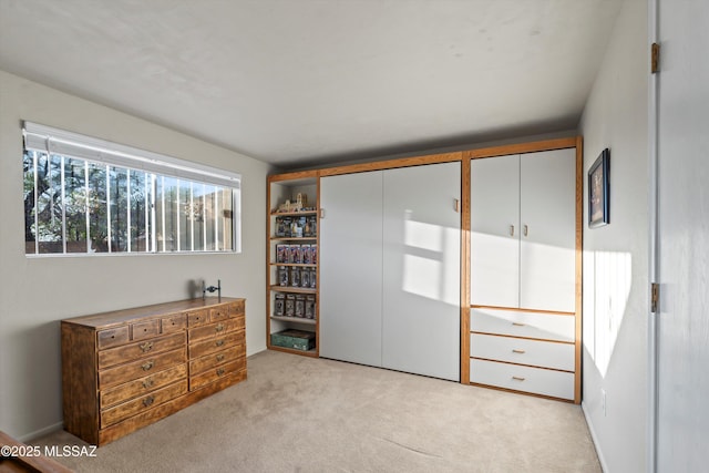 bedroom featuring carpet and two closets