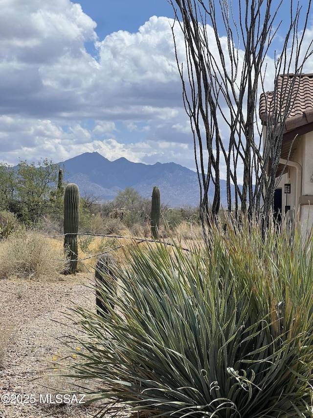2740 E Ponce Ct, Green Valley, AZ 85614 - view of mountain background
