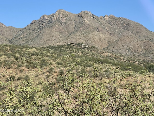 view of mountain feature