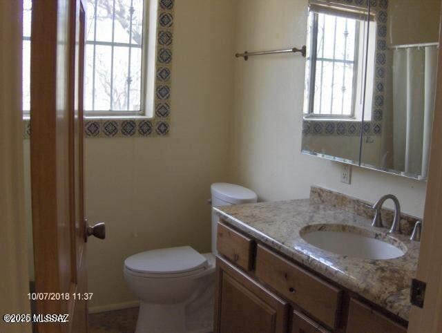 bathroom with vanity, toilet, and a wealth of natural light