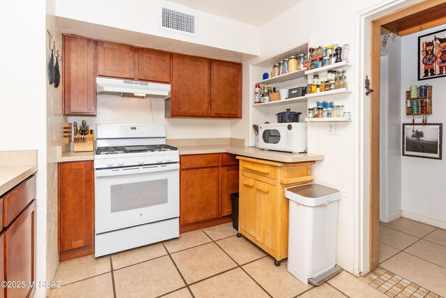 3541 E Cody St, Tucson, AZ 85716 - kitchen with white appliances, a sink, under cabinet range hood, and light countertops